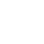 Fleet AI OS